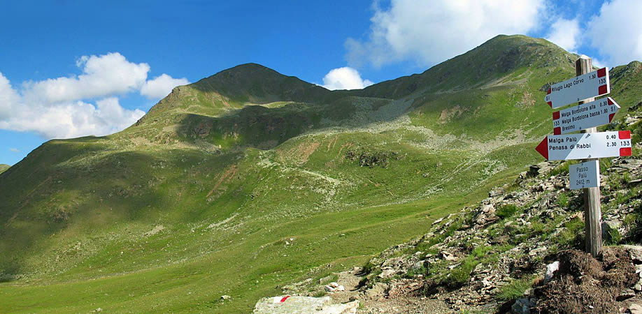 Immagine Locanda Alpina